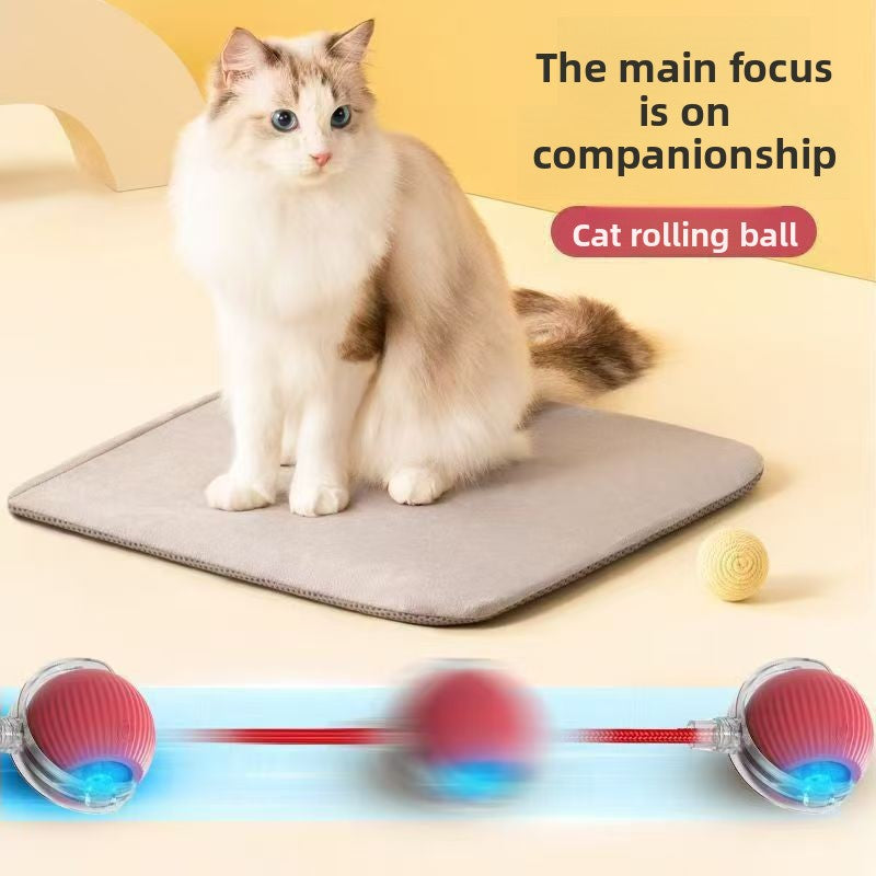Bite Resistant Automatic Cat Toy Ball with Rope