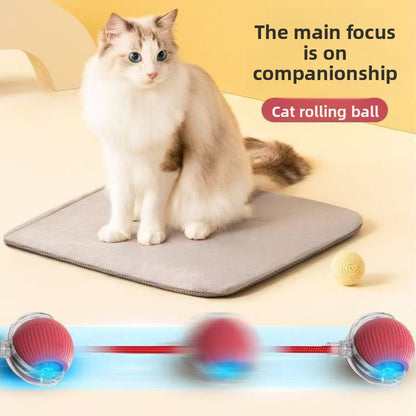 Bite Resistant Automatic Cat Toy Ball with Rope