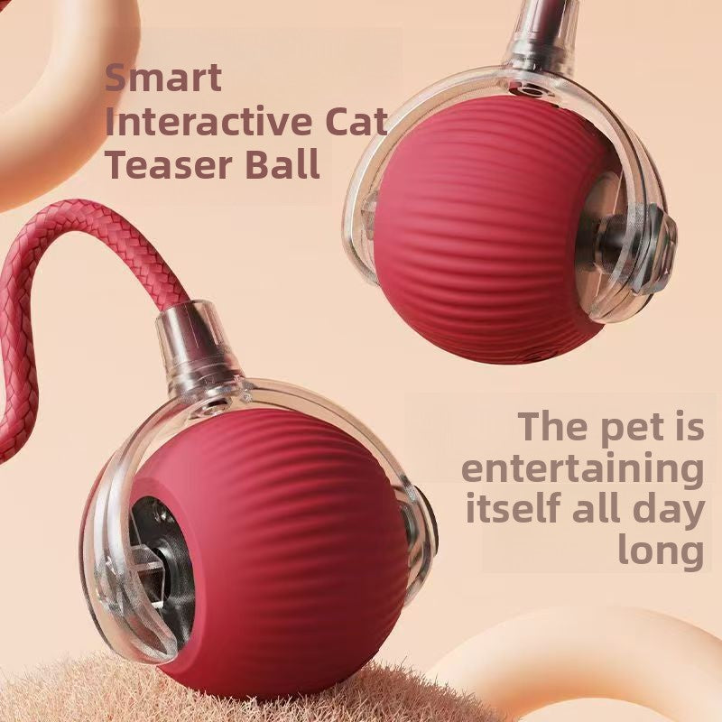 Bite Resistant Automatic Cat Toy Ball with Rope