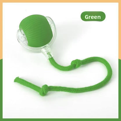 Bite Resistant Automatic Cat Toy Ball with Rope