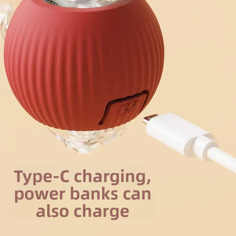 Bite Resistant Automatic Cat Toy Ball with Rope