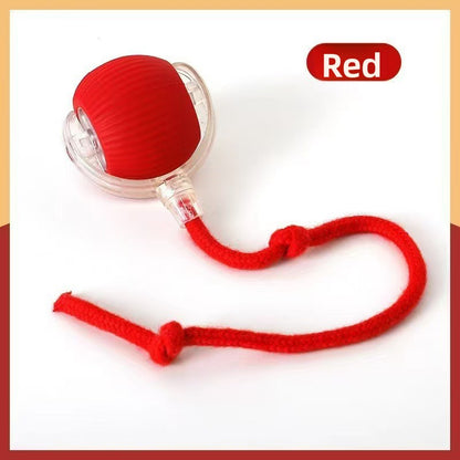 Bite Resistant Automatic Cat Toy Ball with Rope